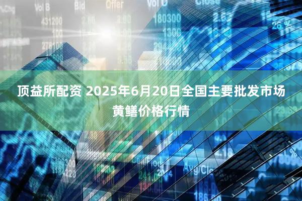 顶益所配资 2025年6月20日全国主要批发市场黄鳝价格行情
